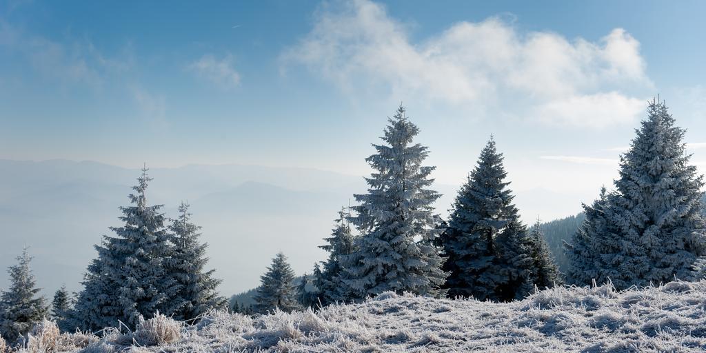 Penzion Ladoven Skvela Kuchyna A Rodinna Atmosfera Martin Dış mekan fotoğraf